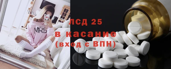 стафф Арсеньев