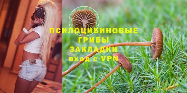 стафф Арсеньев