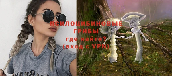 apvp Аркадак