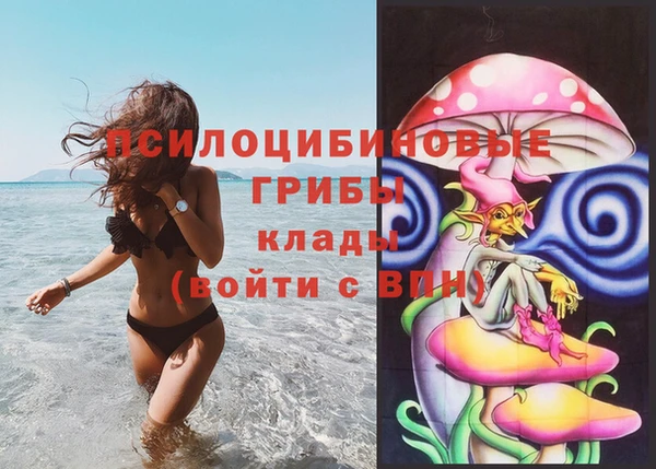 apvp Аркадак
