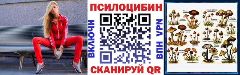 Псилоцибиновые грибы Psilocybine cubensis  даркнет телеграм  Гвардейск  мега рабочий сайт 